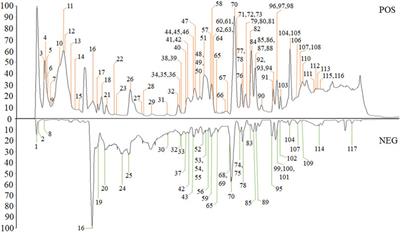 The Integrated Study on the Chemical Profiling to Explore the Constituents and Mechanism of Traditional Chinese Medicine Preparation Huatuo Jiuxin Pills Based on UPLC-Q-TOF/MSE and Network Pharmacology